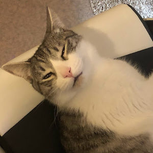 Meet your Posher, Ok